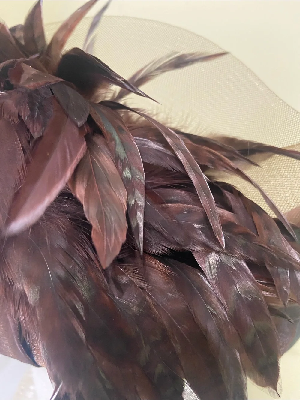 Beautiful Dress Hat / Church Hat by Donna Vinci